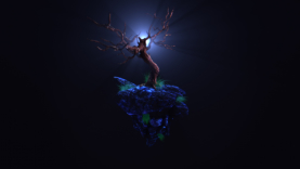 Tree     © Kévin Vernet
