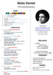 RESUME / CV
